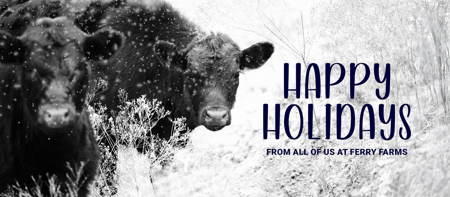 Holiday Shopping 2025