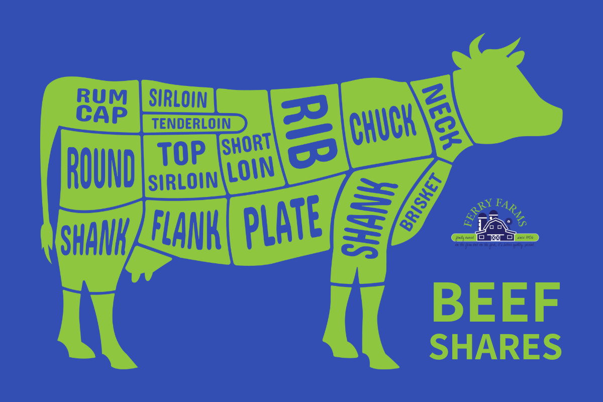Beef Shares