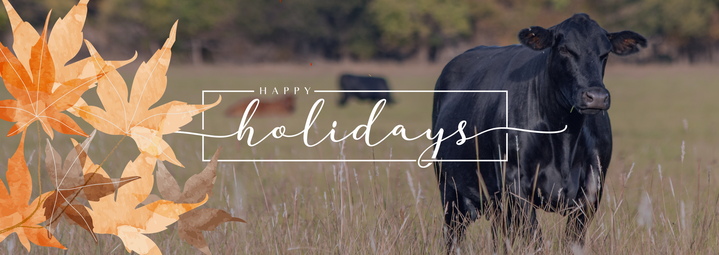 Holiday Shopping 2025