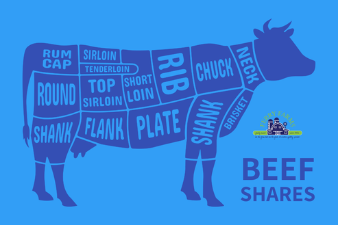 Quarter American Wagyu Beef – Ferry Farms